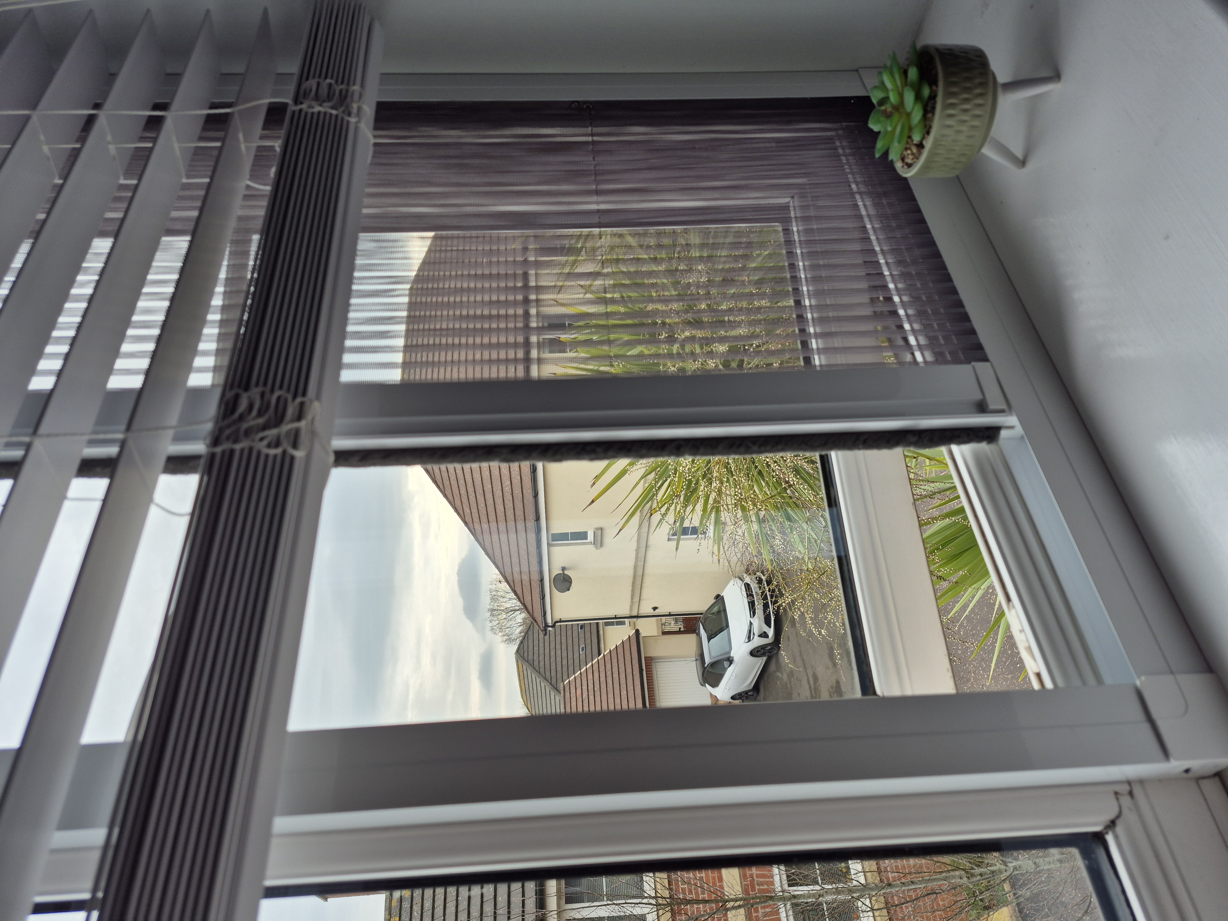 Mosquito Screen 3