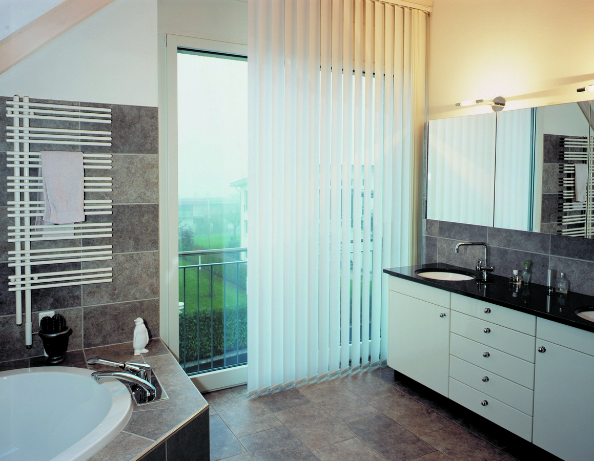 Vertical Blind 2